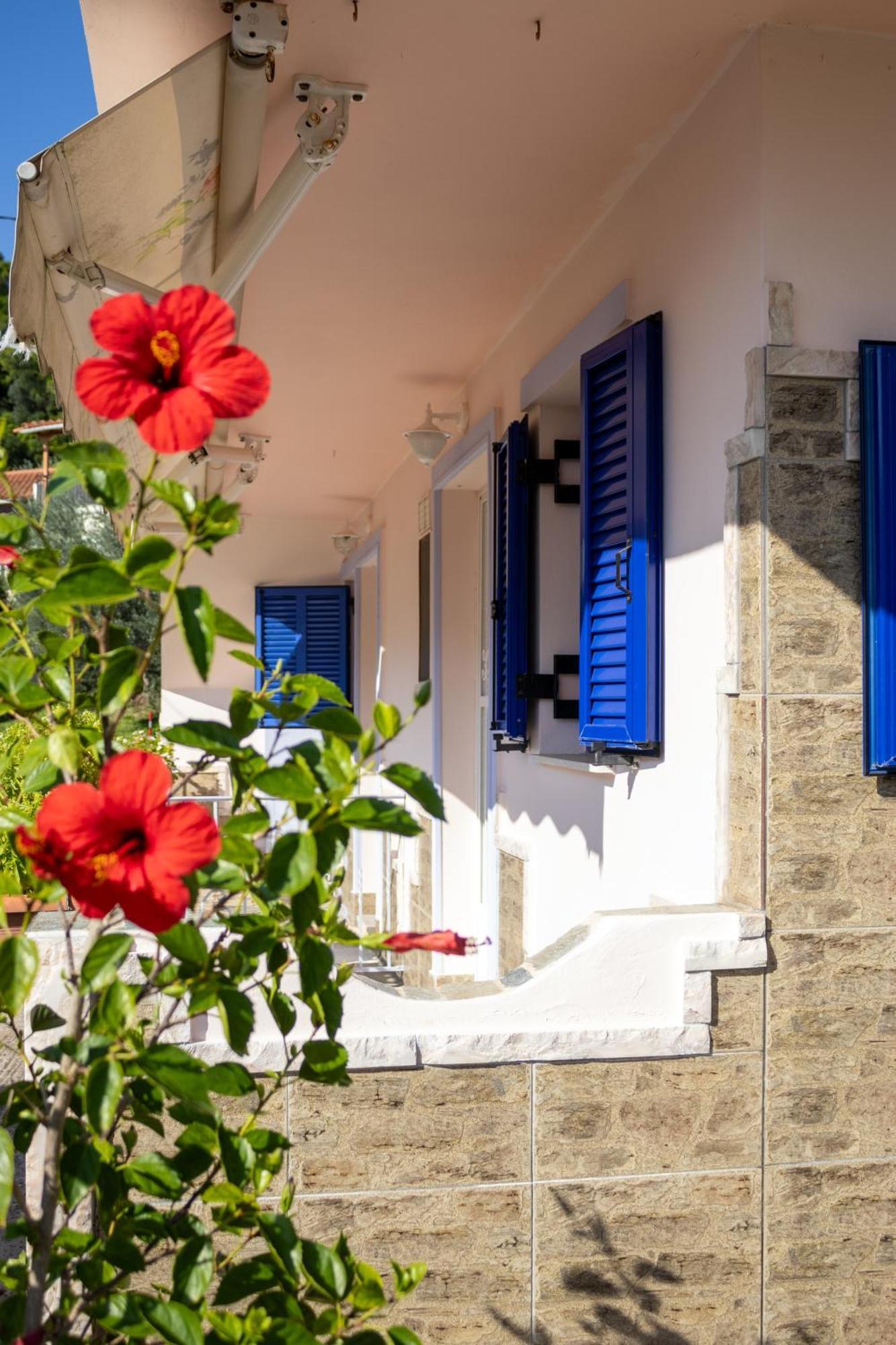 Liakos' Vasilika (Evia)